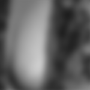 rencontre-Cougar-Agen