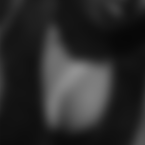 rencontre-Cougar-Nevers