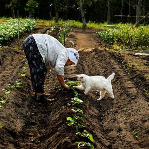 Mei - rencontre-Cougar-Roubaix